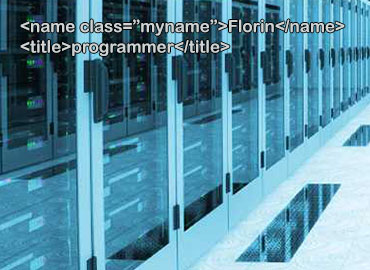 Programmer